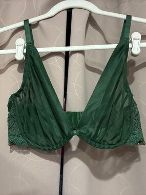 Adore Me Green Plunge Lace Bra